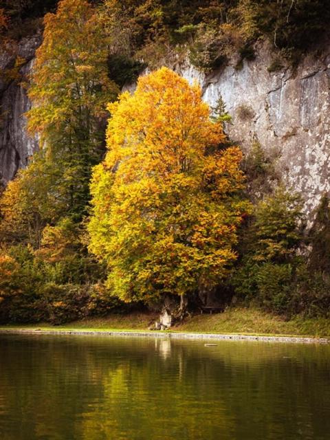 Das Luegstein Kiefersfelden Bagian luar foto