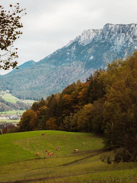 Das Luegstein Kiefersfelden Bagian luar foto